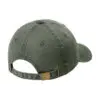Port Authority Pigment-Dyed Cap, Hunter, back view